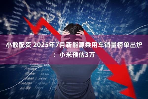 小散配资 2025年7月新能源乘用车销量榜单出炉：小米预估3万