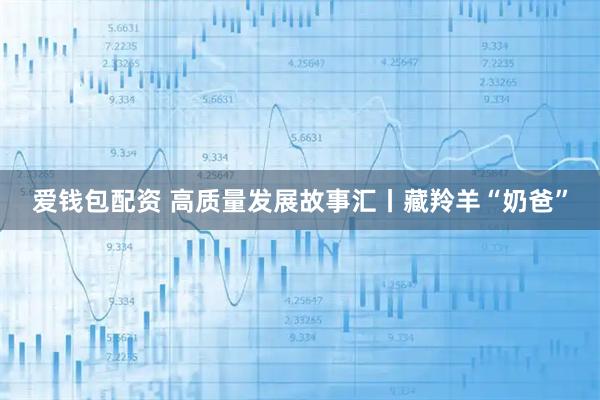 爱钱包配资 高质量发展故事汇丨藏羚羊“奶爸”