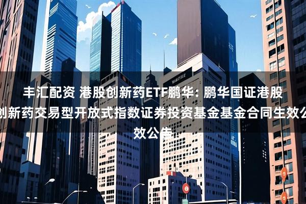 丰汇配资 港股创新药ETF鹏华: 鹏华国证港股通创新药交易型开放式指数证券投资基金基金合同生效公告