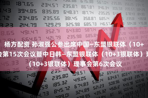 杨方配资 孙淑强公参出席中国—东盟银联体（10+1银联体）理事会第15次会议暨中日韩—东盟银联体（10+3银联体）理事会第6次会议